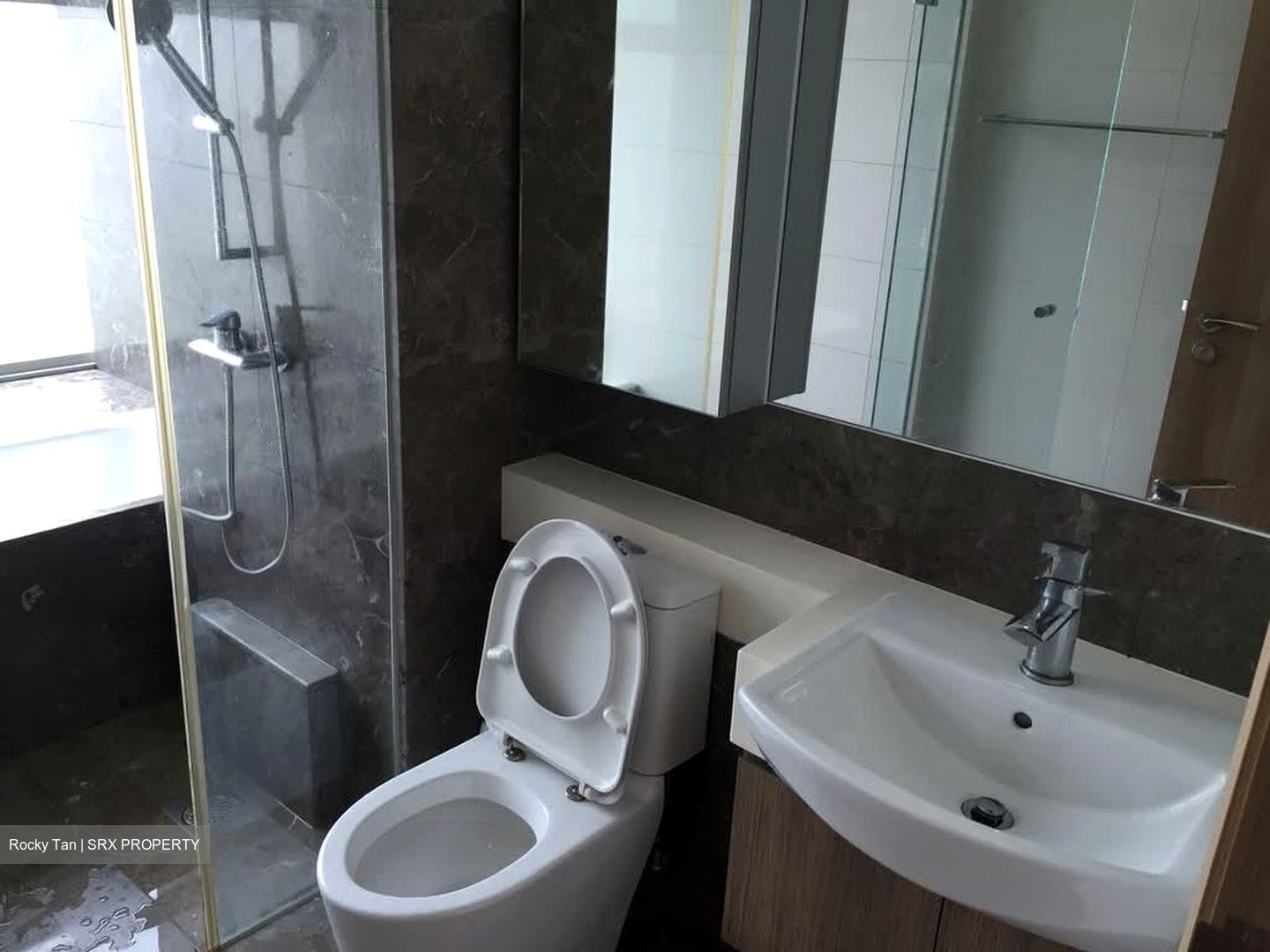 Caspian (D22), Condominium #584990531